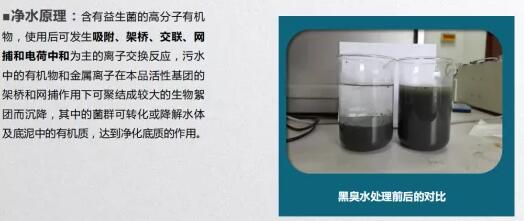 黑臭河流治理專家闡述水治理應用中的絮凝劑